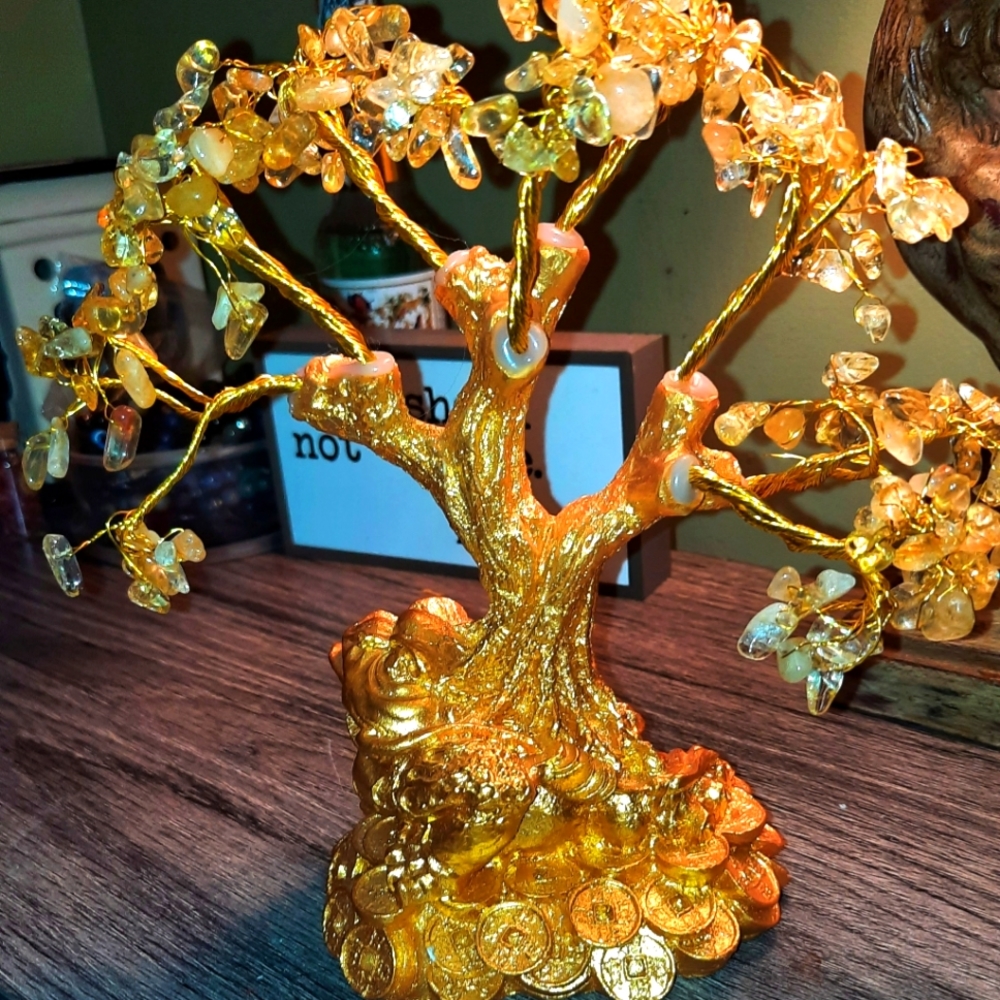 Lucky Money Tree